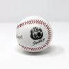 Smokey Bear Baseball - Smokey bear print image