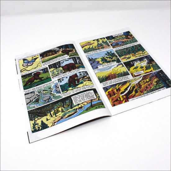National Symbols Cache. The True Story Smokey Bear Comic Books - English