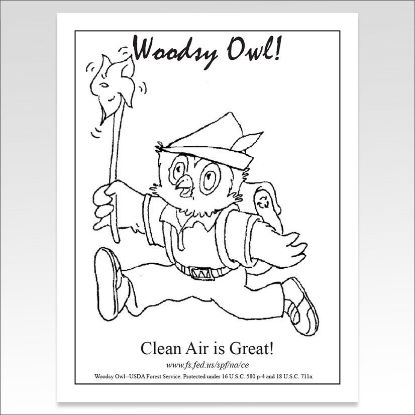 Picture of Woodsy Owl "Clean Air is Great" Coloring Sheet