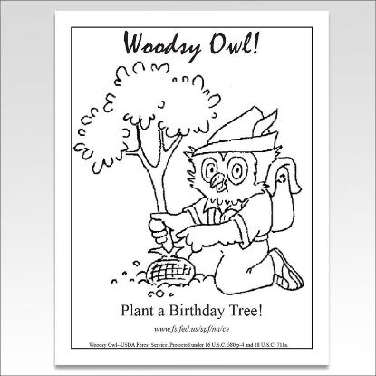 Picture of Woodsy Owl "Plant a Tree" Coloring Sheet