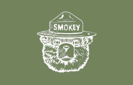 Picture for category All Smokey Bear