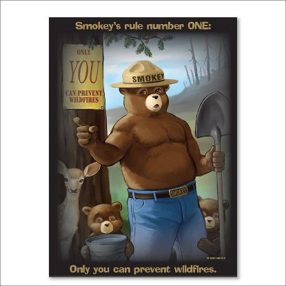 Picture of Smokey's Rule Number ONE Poster  - English