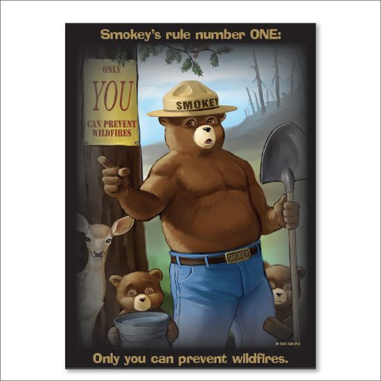 Picture of Smokey's Rule Number ONE Poster  - English