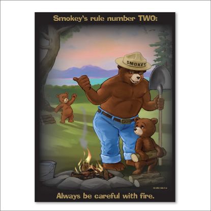 Picture of Smokey's Rule Number TWO Poster - English