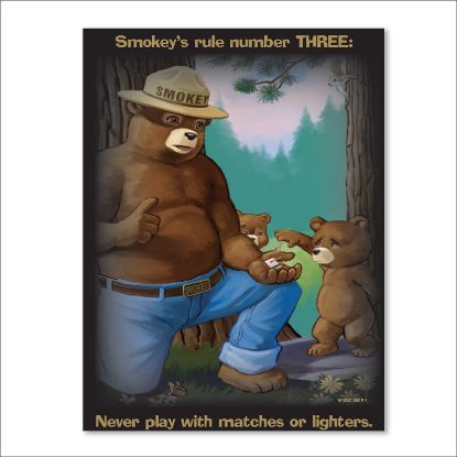 Picture of Smokey's Rule Number THREE Poster- English