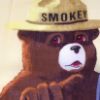 Picture of Smokey Bear Bandanas (Cotton)