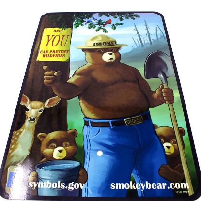 Picture of Smokey Bear Metal Sign (Temporarily Out Of Stock)