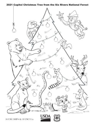 Picture of 2021 Capitol Christmas Tree Coloring Sheet #4