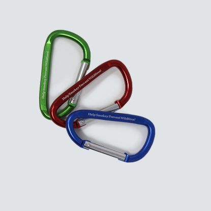 Picture of Help Smokey Prevent Wildfires Carabiners