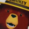 Smokey Bear erasers - closeup
