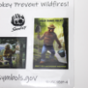 Picture of Smokey Bear Sticker Sheets