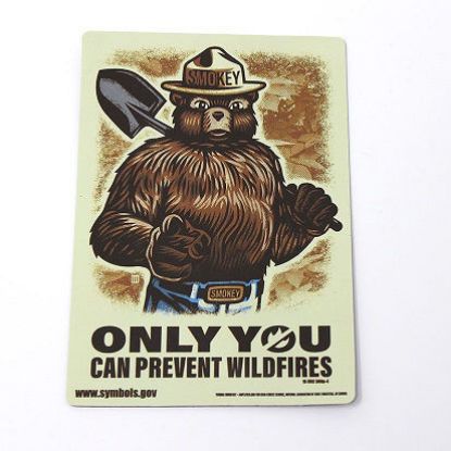 Picture of Smokey Bear "Only You" Magnets