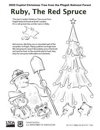 Picture of 2022 Capitol Christmas Tree Coloring Sheet #3