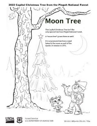 Picture of 2022 Capitol Christmas Tree Coloring Sheet #4