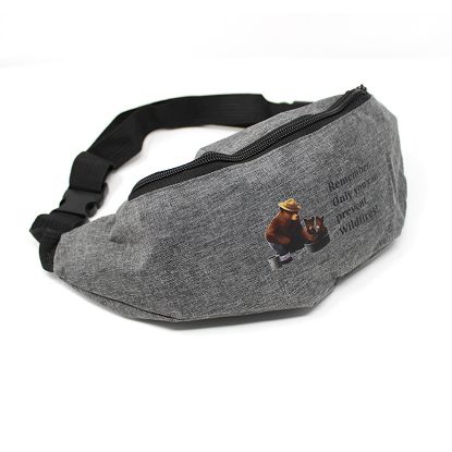 Picture of Smokey Fanny Pack