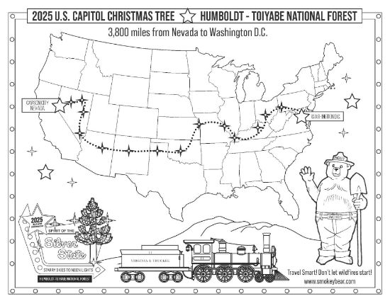 Picture of 2025 Capitol Christmas Tree Coloring Sheet #2